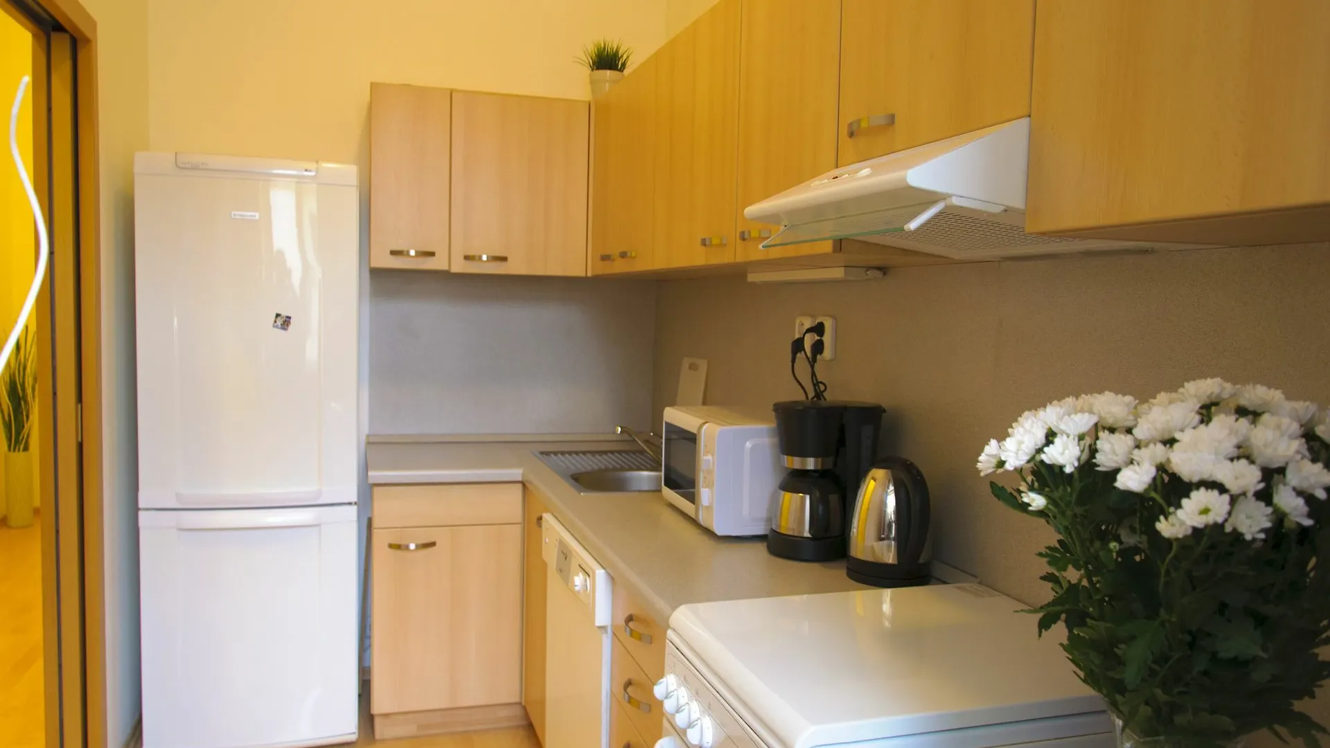 Castle Apartments براغ